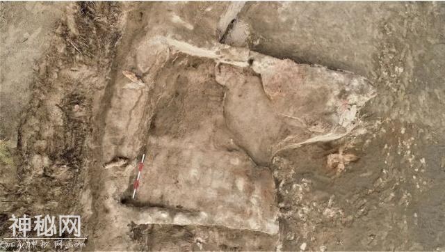 国家文物局发布四项重大考古成果！古墓里居然有这些……-39.jpg