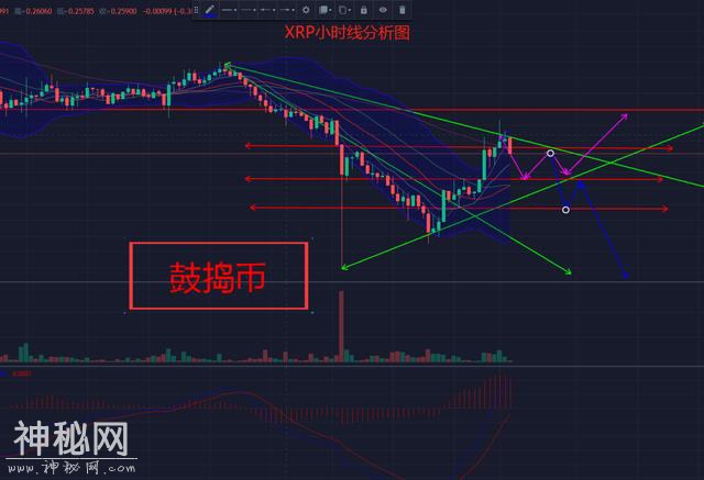 瀑布式下跌后是否能迎来一波有力的反弹？-6.jpg