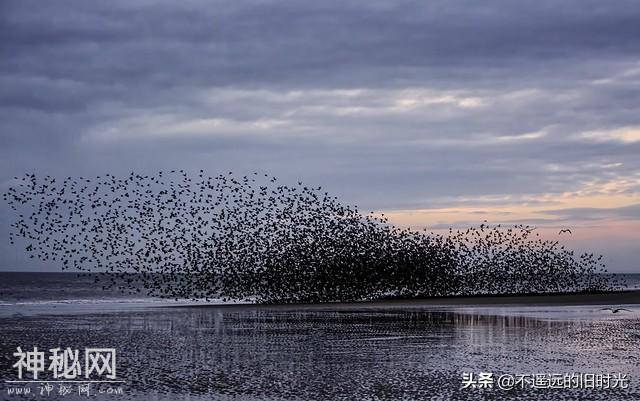 14种只有少数人才有幸看到地球奇景，呈现一种完全不同的震撼之美-6.jpg