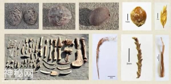 国家文物局发布丝路沿线四大重要考古发现-5.jpg