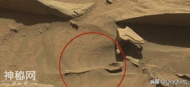 NASA在火星疑拍到「飞碟登陆」 放大后看是真的？-6.jpg