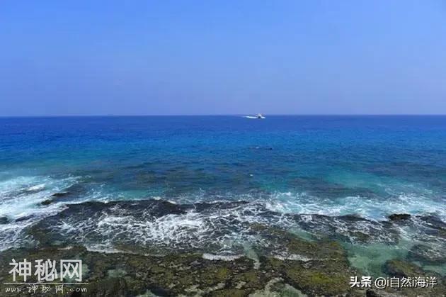 “解锁”海岸带空间规划②｜生物资源丰富的潮间带-1.jpg