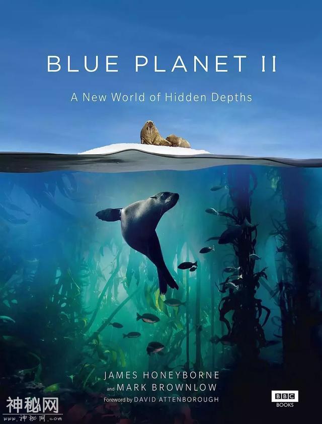 10部最经典BBC地理纪录片，让孩子领略蓝色地球的传说-24.jpg