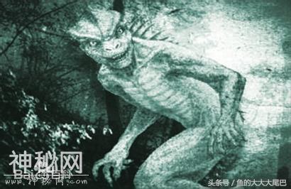 揭秘世界十大恐怖未知生物的真面目 你被吓到了么？-2.jpg