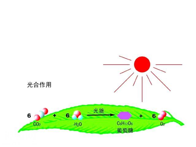 疯狂科学家为了永生，给自己注射350万年前的细菌，结果如何？-4.jpg