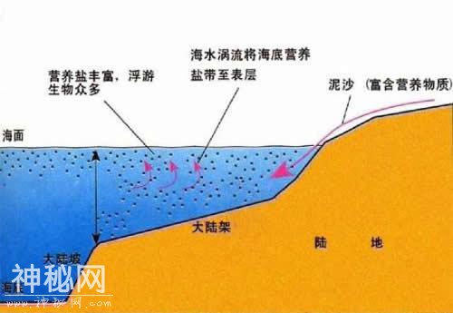 世界上6大特殊地理现象-7.jpg