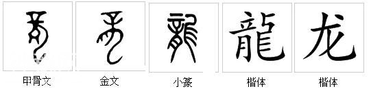 新说文解字第三季 | 动物篇07——“龙”-3.jpg