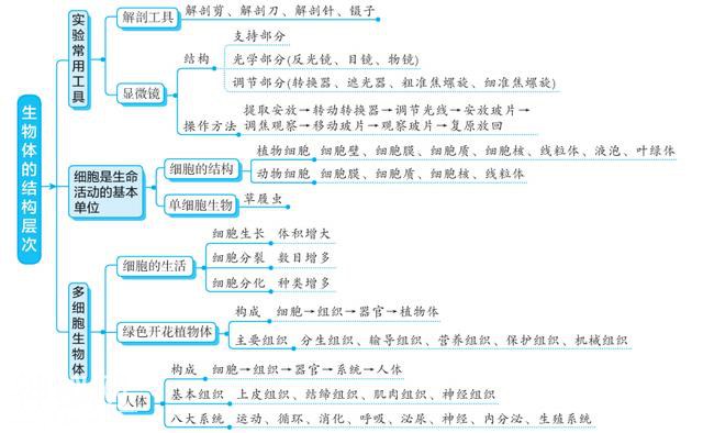 初中生物：超详细专题知识点梳理，全面具体条理清晰，建议收藏-1.jpg