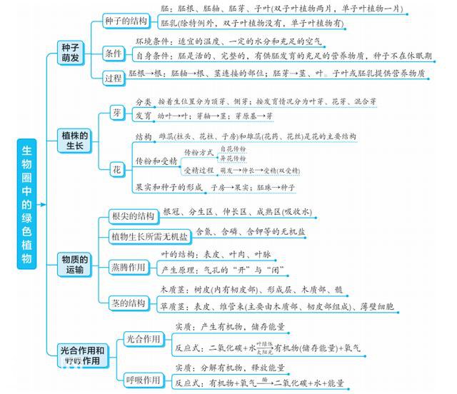 初中生物：超详细专题知识点梳理，全面具体条理清晰，建议收藏-3.jpg