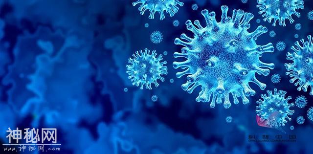 专家警告：可能会出现新冠病毒和MERS病毒的嵌合病毒-2.jpg
