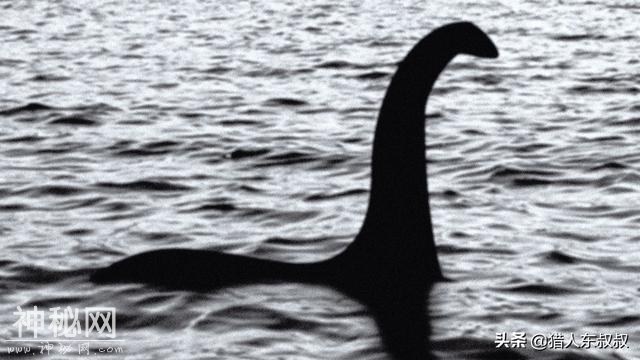 世界上所有水怪图片大全 尼斯湖水怪真的存在吗？-3.jpg