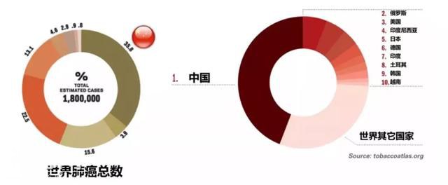 「最全科普」为什么说中国是癌症大国？-28.jpg