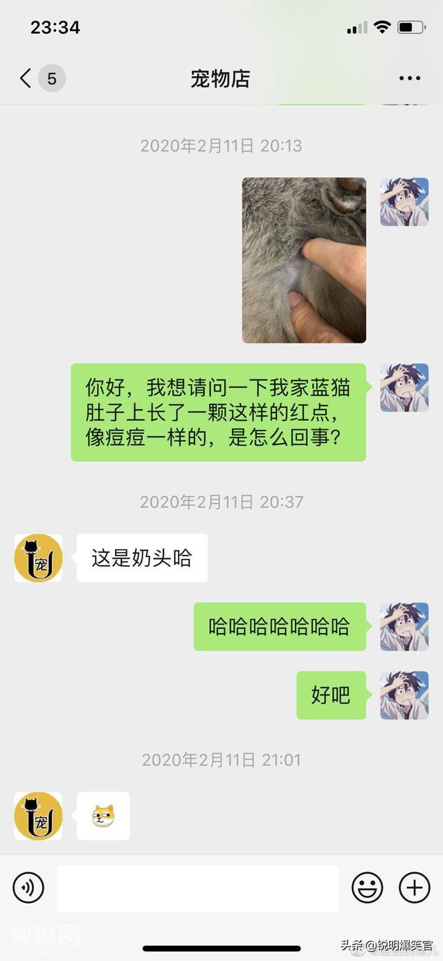 碰到过最搞笑的一次网购经历，都是些什么妖魔鬼怪，头都笑歪了！-9.jpg