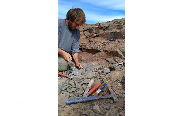 阿根廷发现巨型恐龙化石，约10米长-1.jpg