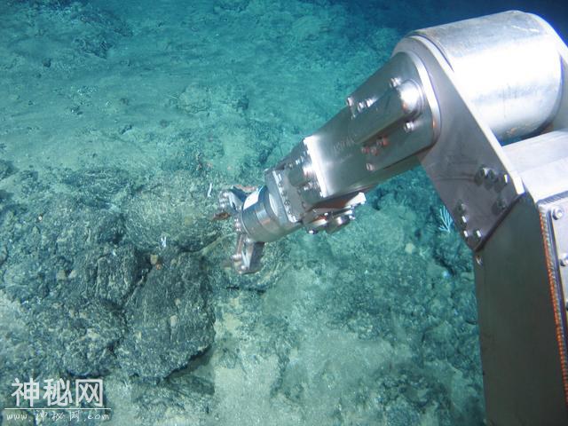 南太平洋海底深处的远古细菌群，藏着地球生物起源的秘密-2.jpg