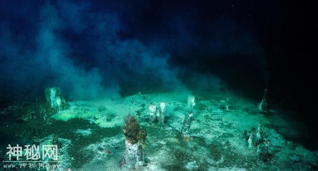 进入1800米海底，发现前所未有的生物，刷新对外星生命认知-4.jpg