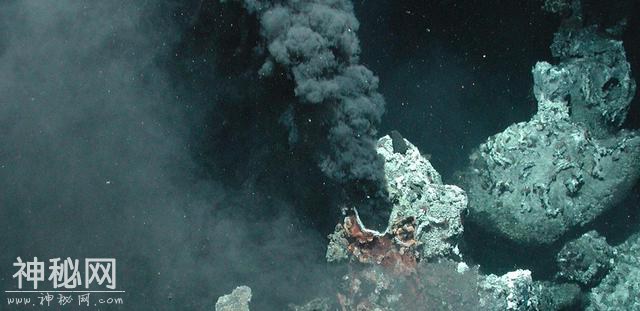 进入1800米海底，发现前所未有的生物，刷新对外星生命认知-5.jpg