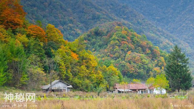 湖北有一原始森林，因“野人”闻名，专家考察后却得出这样的结论-2.jpg