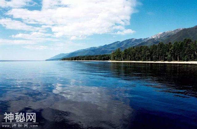 贝加尔湖明明是淡水湖，为什么这里却生活着海洋生物？-3.jpg