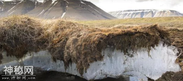 北极“高烧”不断，经常出现史前生物遗骸，冰层下或有细菌苏醒-6.jpg