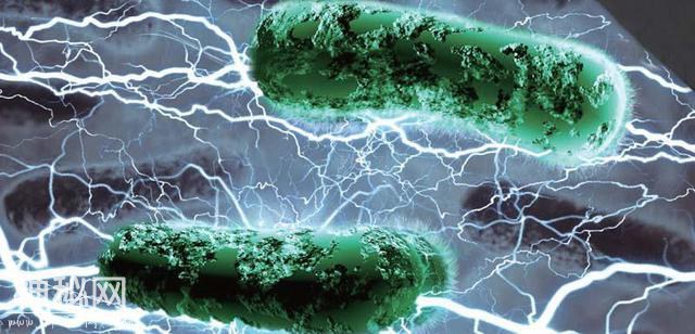 一种把电当成食物的“科幻”细菌-8.jpg