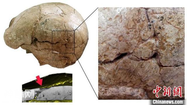 古人类学家研究揭秘：40万年前和县直立人头盖骨发现三类异常痕迹-2.jpg