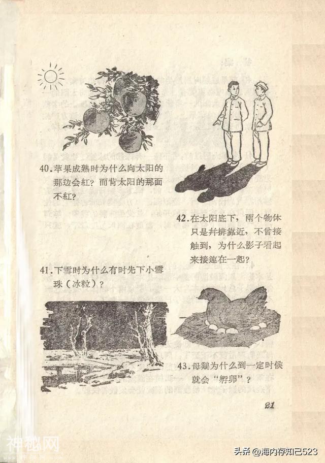 科学画报《为什么》上海科学普及出版社-22.jpg