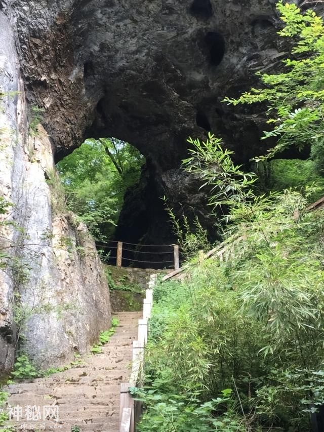 141年前，一“野人女孩”被抓去供观赏，死前说了一番话令人心酸-23.jpg