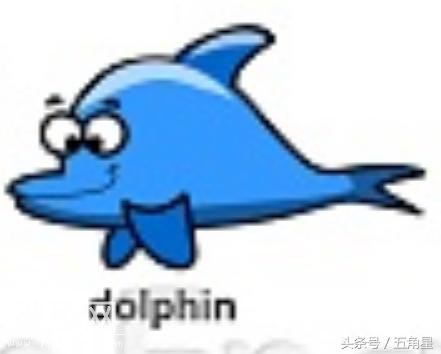 42个动物的英语单词！dolphin？lion？starfish？你都认识吗？-8.jpg