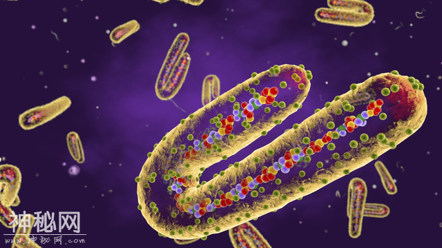 病毒才是地球的主人，列举世界五种超强病毒，或可改变人类命运-10.jpg