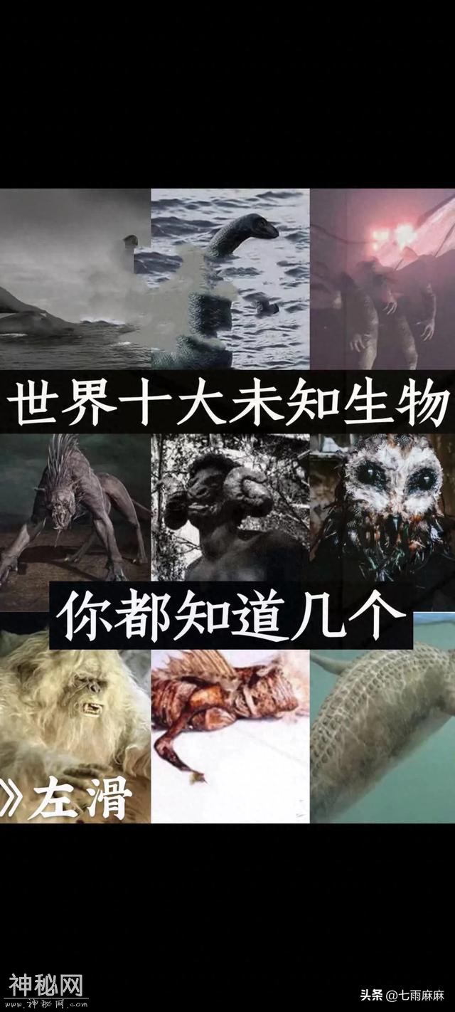 世界十大未知生物，你都知道几个？太恐怖了-1.jpg