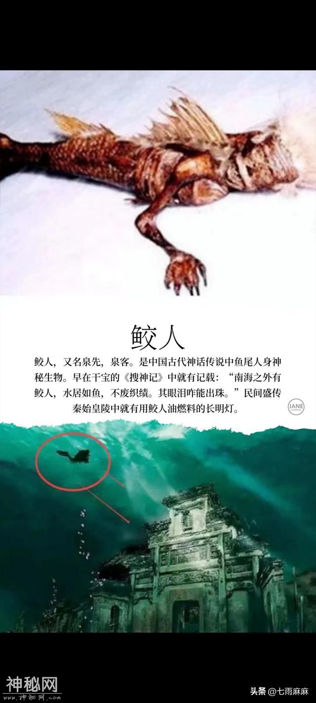 世界十大未知生物，你都知道几个？太恐怖了-9.jpg