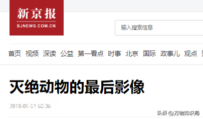 12种灭绝动物留下的罕见影像，死于人类的贪欲，每一个都令人惋惜-32.jpg