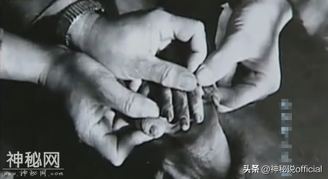 1957年浙江村庄现“野人”，村民抓住打死，一位老师把手脚制标本-2.jpg