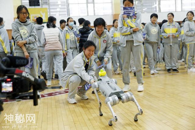 校园科技节带学生玩转科学-1.jpg