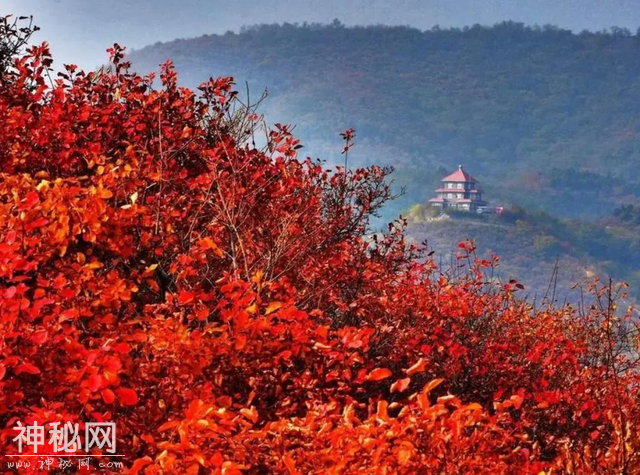 10月23日霜降，别忘了：“3个习俗，3个注意”，老传统要遵守-3.jpg