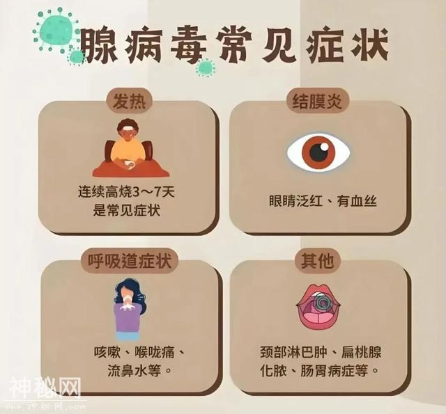 什么是腺病毒，如何预防？一文了解-3.jpg