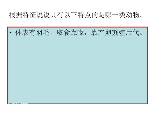 4种类繁多的动物-L-31.jpg